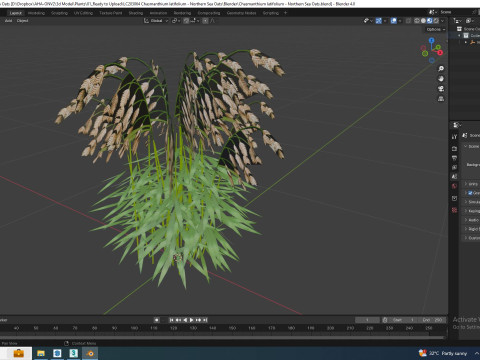 Chasmanthium latifolium Northern Sea Oats Modelo 3D