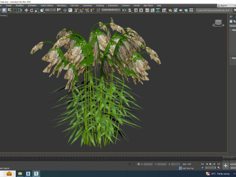 Chasmanthium latifolium Northern Sea Oats Modelo 3D