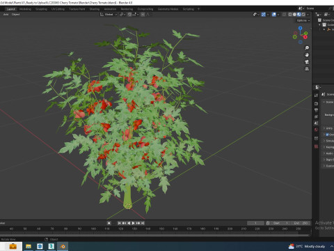 Cherry Tomato 3D-Modell