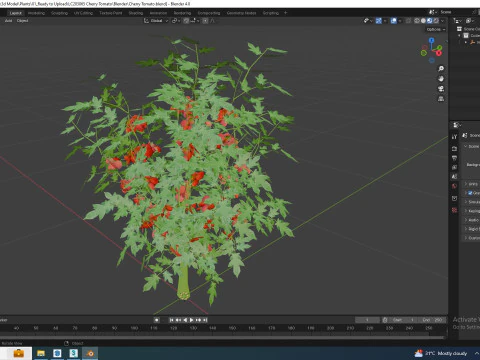 Cherry Tomato 3D Model