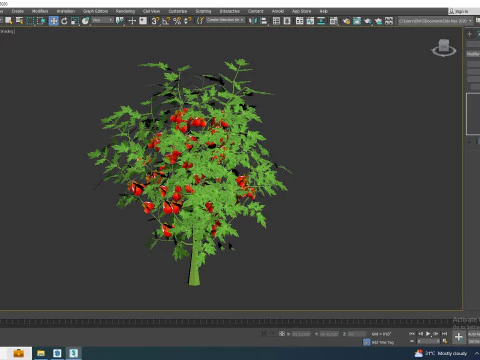 Cherry Tomato 3D Model