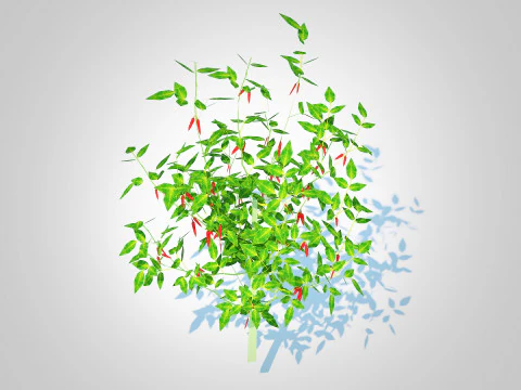 Pimenta vermelha Modelo 3D