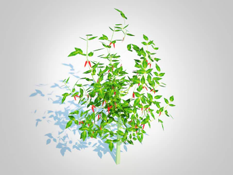 Chilli Pepper-red 3D Model