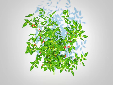 Chilli Pepper-red 3D Model