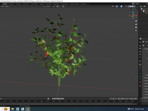 Chilli Pepper-red 3D-Modell
