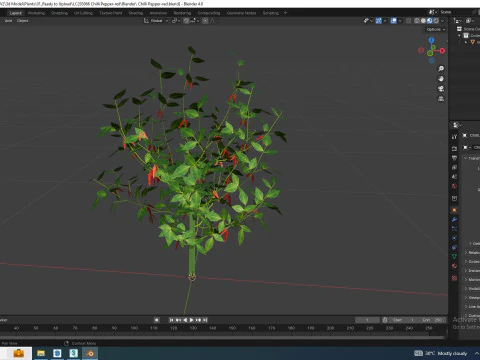 Chilli Pepper-red 3D Model
