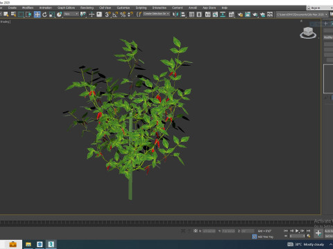 Chilli Pepper-red 3D-Modell