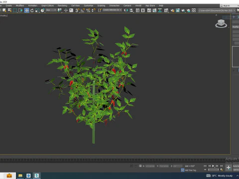 Chilli Pepper-red 3D Model