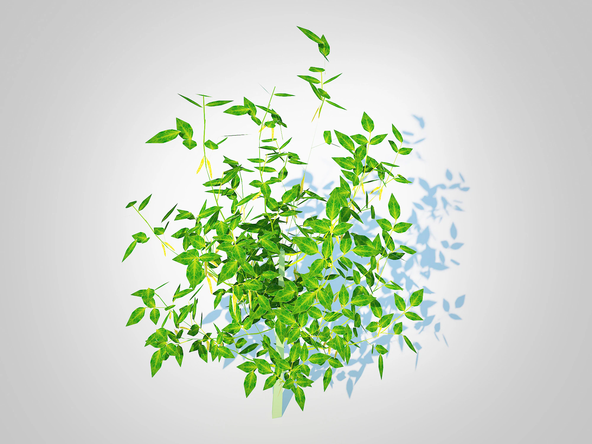 Chilli Pepper-yellow 3D Model .c4d .max .obj .3ds .fbx .stl .blend 