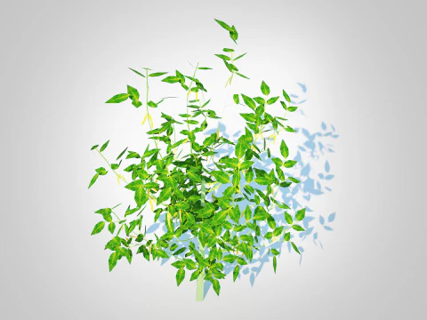 Перець чилі-жовтий 3D Модель