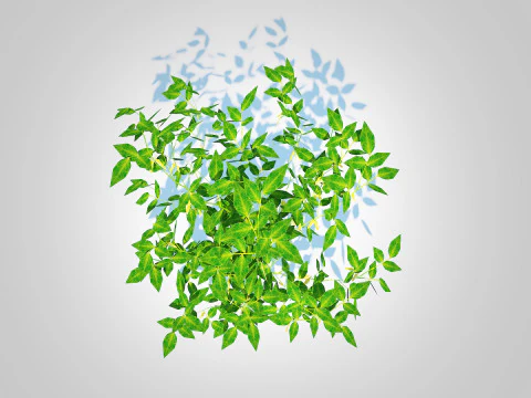 Chilli Pepper-yellow 3D Model