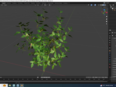Chilli Pepper-yellow 3D Model