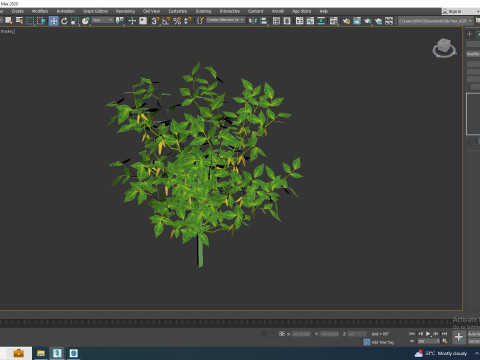 Chilli Pepper-yellow 3D Model