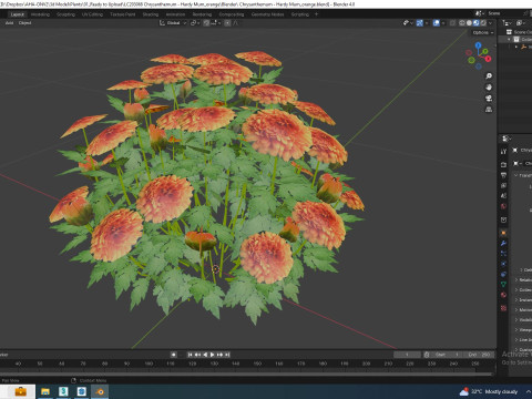 Chrysanthemum - Hardy Mum orange Model 3D