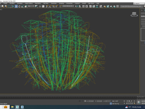 Chrysanthemum - Hardy Mum orange Model 3D
