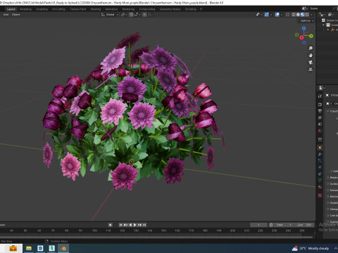 Chrysanthemum - Hardy Mum purple 3D Model