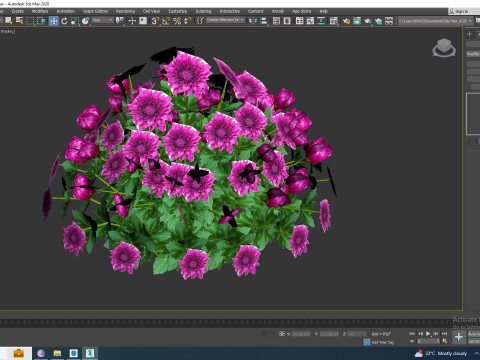 Chrysanthemum - Hardy Mum purple 3D Model