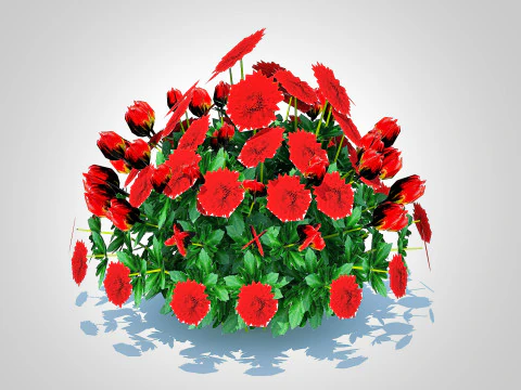 Chrysanthemum - Hardy Mum red 3D Model
