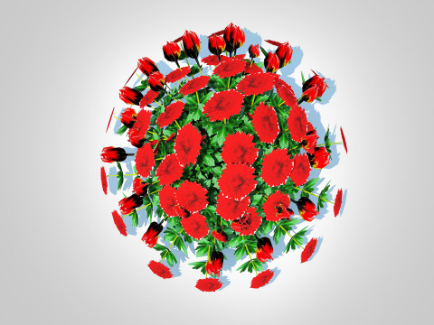 Chrysanthemum - Hardy Mum red 3D-Modell