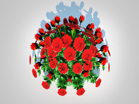 Chrysanthemum - Hardy Mum red 3D-Modell