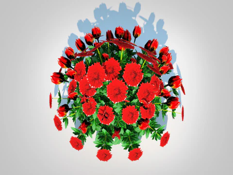 Chrysanthemum - Hardy Mum red 3D Model
