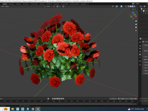 Chrysanthemum - Hardy Mum red 3D Model