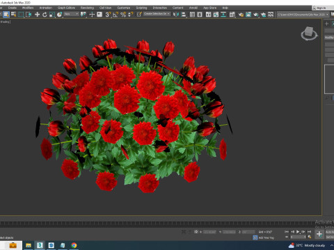 Chrysanthemum - Hardy Mum red 3D-Modell
