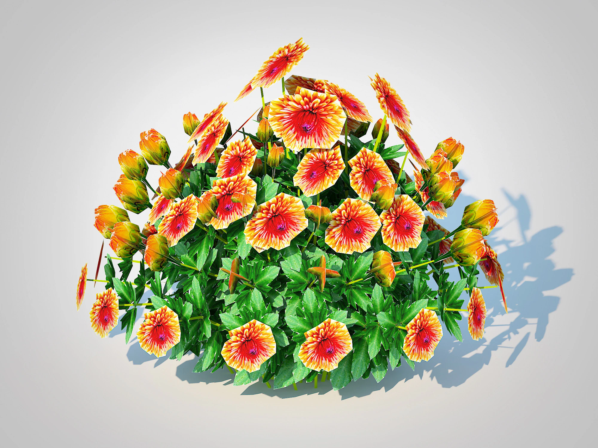 Chrysanthemum - Hardy Mum rust 3D Model .c4d .max .obj .3ds .fbx .stl .blend 