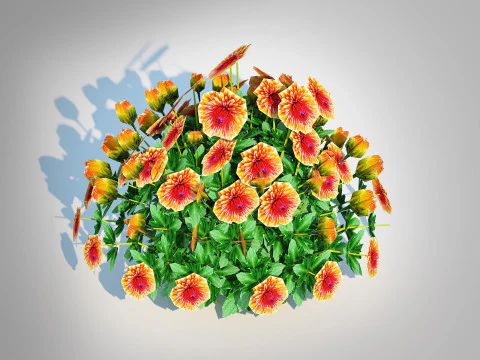 Chrysanthemum - Hardy Mum rust 3D Model