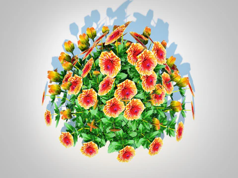 Chrysanthemum - Hardy Mum rust 3D Model