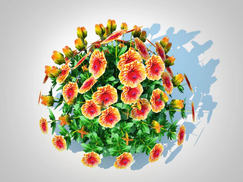 Chrysanthemum - Hardy Mum rust 3D Model