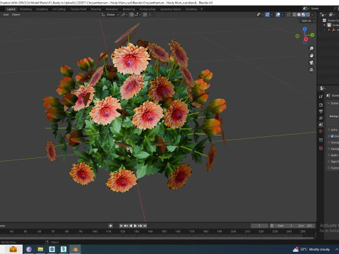 Chrysanthemum - Hardy Mum rust 3D Model