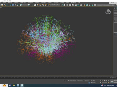 Chrysanthemum - Hardy Mum rust 3D Model