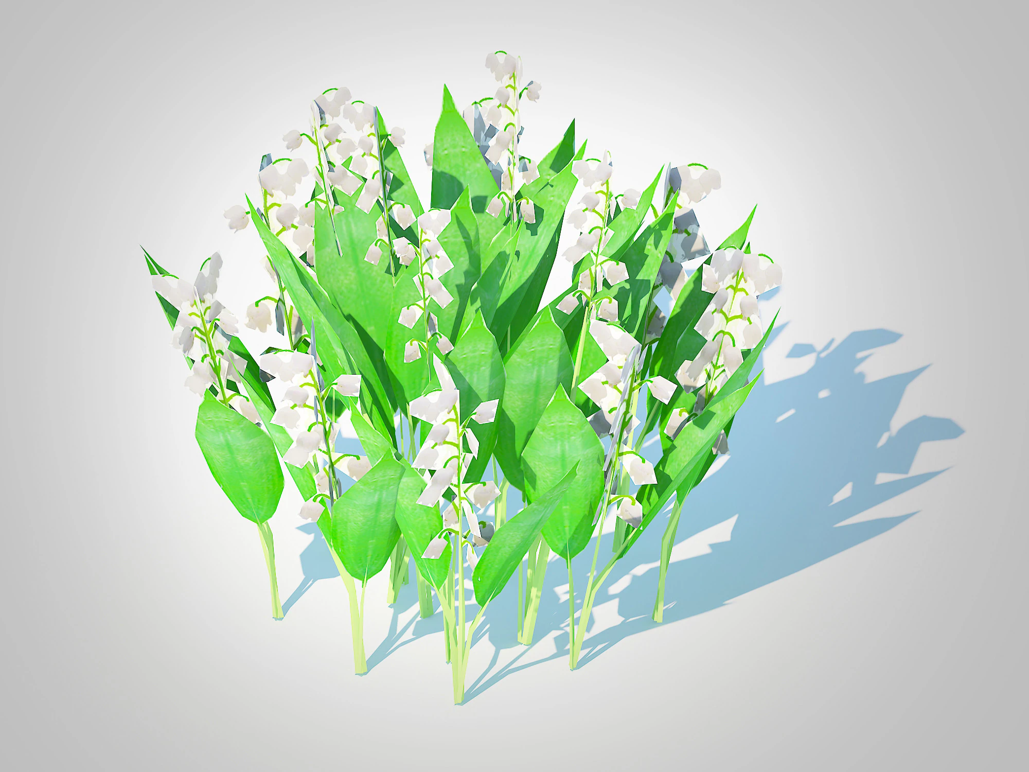 Convallaria majalis - Lily of the Valley 3D Model .c4d .max .obj .3ds .fbx .stl .blend 