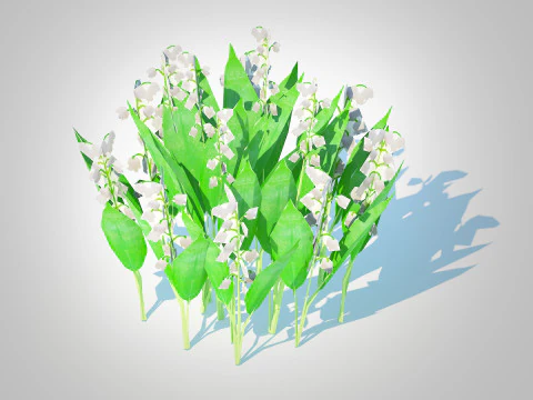Convallaria majalis - Lily of the Valley 3D Model