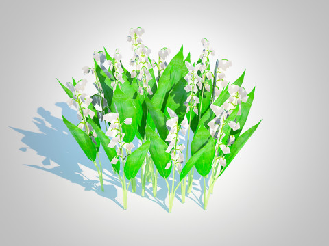 Convallaria majalis - Lily of the Valley 3D Model