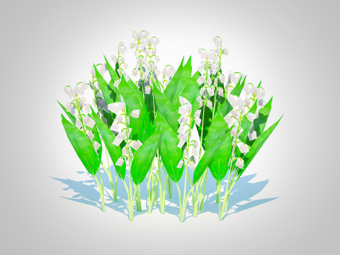 Convallaria majalis - Lily of the Valley 3D Model