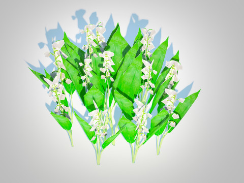 Convallaria majalis - Lily of the Valley 3D Model