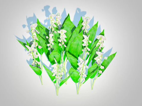 Convallaria majalis - Lily of the Valley 3D Model