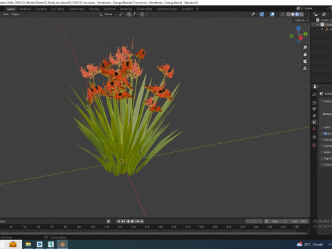 Crocosmia - Montbretia -Orange 3D 모델