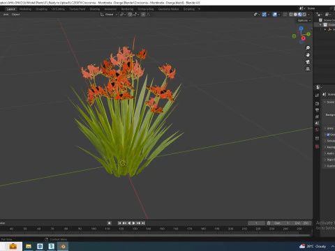 Crocosmia - Montbretia -Orange 3D Model