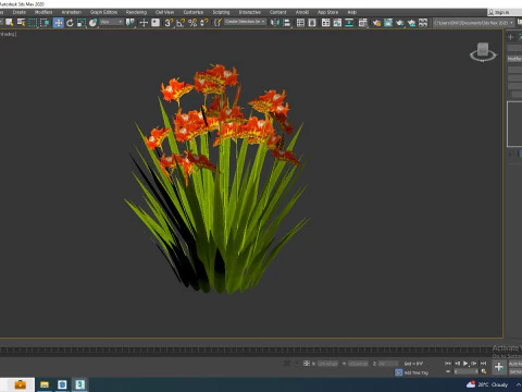 Crocosmia - Montbretia -Orange 3D Model