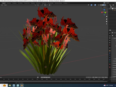Crocosmia - Montbretia -Red 3D 模型