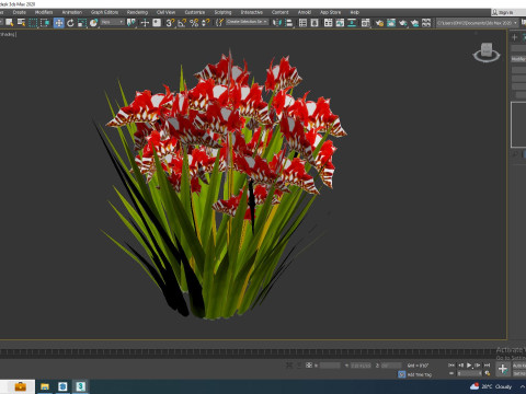 Crocosmia - Montbretia -Red 3D 模型