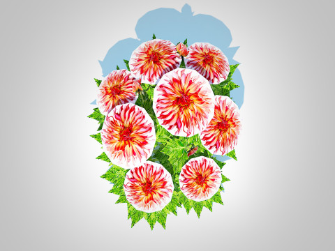 Dahlia Connie 3D मॉडल