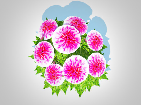 Dahlia Lisa Dark Pink 3D Model