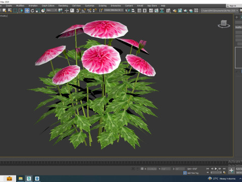 Dahlia Lisa Dark Pink 3D Model