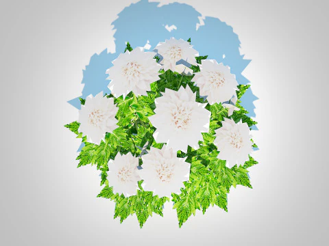 Dahlia Lisa White 3D Model