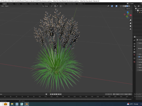 Deschampsia cespitosa - Tufted Hair Grass 3D Модель