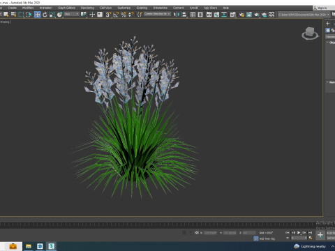Deschampsia cespitosa - Tufted Hair Grass 3D Модель